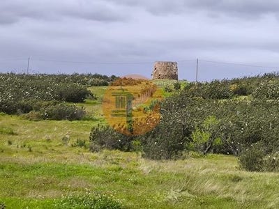 /international/pt/azinhal-castro-marim-faro-310106779733/