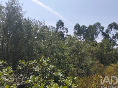 /international/pt/santarem-santarem-310100439291/