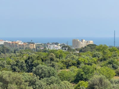 /international/pt/alvor-viana-do-castelo-310107793585/