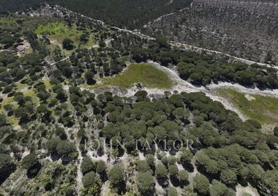 /international/pt/melides-setubal-municipality-310096816540/