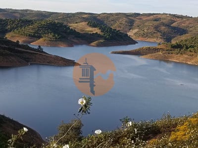 /international/pt/azinhal-faro-310105016387/