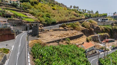 /international/pt/tabua-madeira-310101850452/
