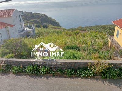 /international/pt/canhas-madeira-310108943059/?lang=it