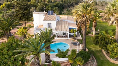 /international/pt/boliqueime-madeira-310100713590/