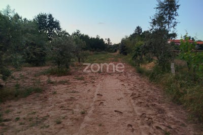 /international/pt/mangualde-viseu-310108209462/