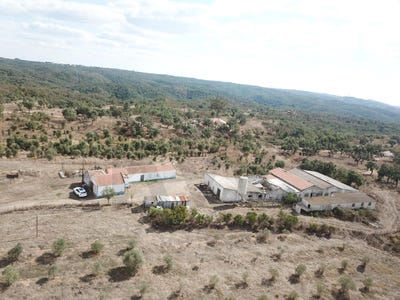 /international/pt/santa-cruz-stc-setubal-municipality-310105718785/