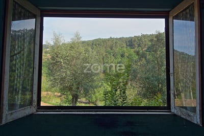/international/pt/amares-braga-120090006313/