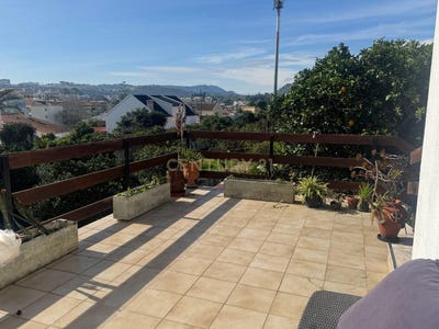 /international/pt/setubal-sao-juliao-setubal-municipality-310100106123/