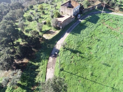 /international/pt/rua-do-casal-novo-6100-cernache-do-bonjardim-portugal-cernache-do-bonjardim-castelo-branco-310103449540/