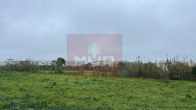/international/pt/quelfes-faro-310105812503/