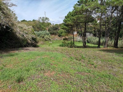 /international/pt/sao-martinho-do-porto-leiria-310100277438/