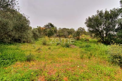 /international/pt/silves-faro-120091185267/