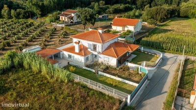 /international/pt/sangalhos-aveiro-310094508122/