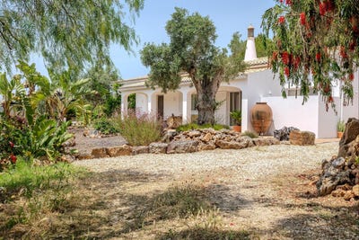 /international/pt/silves-faro-310100953922/?lang=fr