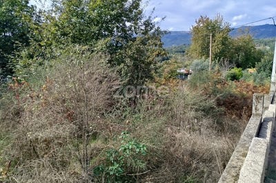 /international/pt/tondela-viseu-310095999685/