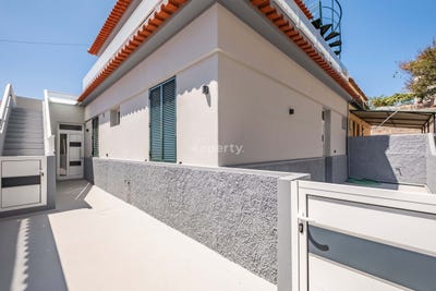 /international/pt/ilha-da-madeira-madeira-310108037774/