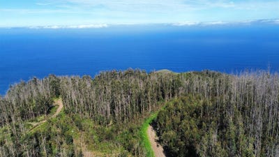 /international/pt/achadas-da-cruz-madeira-310098718738/