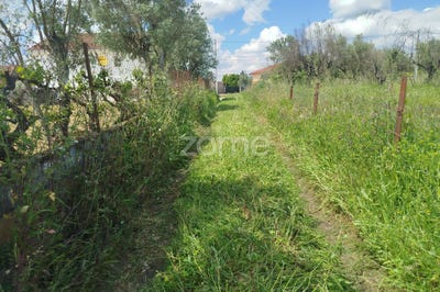 /international/pt/carregal-do-sal-viseu-310100103107/