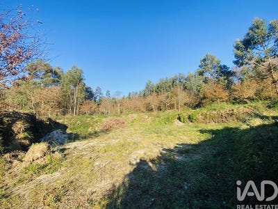 /international/pt/viana-do-castelo-viana-do-castelo-310096966767/