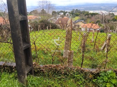 /international/pt/ganfei-viana-do-castelo-310106065551/