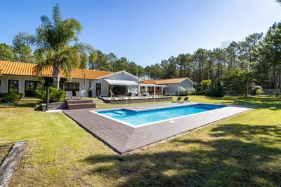 /international/pt/pataias-leiria-310104596860/