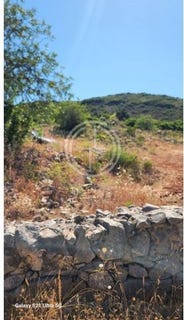 /international/pt/faro-faro-120094753507/?lang=zh-tw