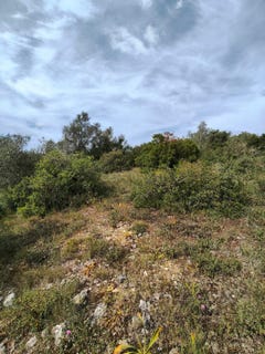 /international/pt/r-do-ulmeiro-22-2715-311-terrugem-portugal-sao-joao-das-lampas-lisbon-310102699309/