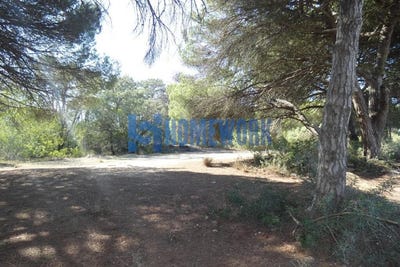 /international/pt/caparica-setubal-municipality-310104247253/?lang=it