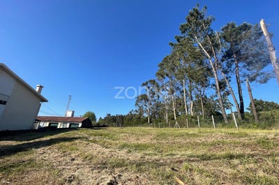 /international/pt/espinho-castelo-branco-310099059194/?lang=th