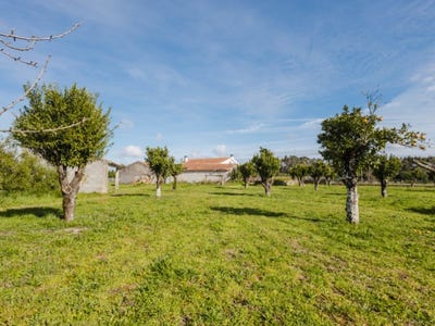 /international/pt/bom-sucesso-lisbon-310101203484/?lang=pt