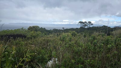 /international/pt/rua-de-cima-de-santana-15-9940-213-santana-portugal-ilha-do-pico-azores-310106969110/