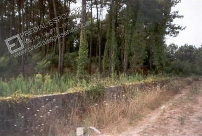 /international/pt/chafe-viana-do-castelo-310101558660/