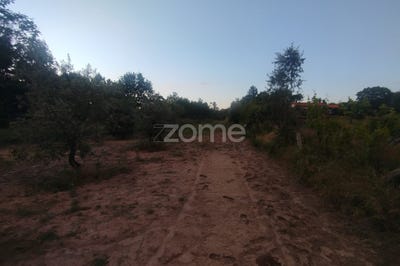 /international/pt/mangualde-viseu-310108212805/