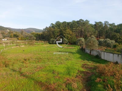 /international/pt/calheiros-viana-do-castelo-310106048264/
