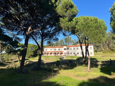 /international/pt/fonte-de-sesimbra-setubal-municipality-310106739647/