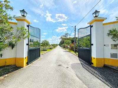 /international/pt/santo-estevao-santarem-310099425076/