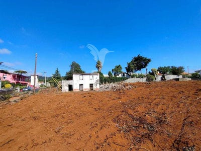 /international/pt/camacha-santa-cruz-madeira-120088449381/