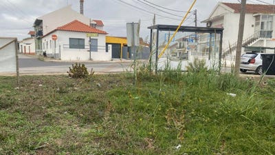 /international/pt/caldas-da-rainha-leiria-310104334560/