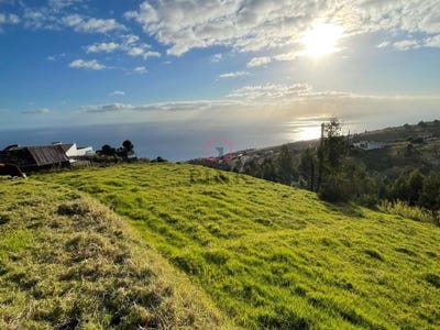 /international/pt/estreito-da-calheta-madeira-310100710053/