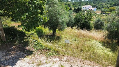 /international/pt/rua-da-igreja-alvorge-leiria-310093930303/