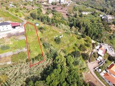 /international/pt/ribeiro-do-louro-ilha-da-madeira-madeira-310101600667/