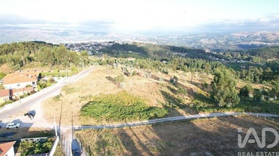 /international/pt/porto-braga-310102370467/