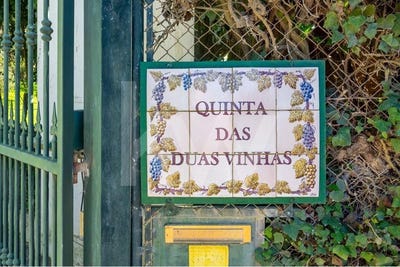 /international/pt/azeitao-sao-lourenco-e-sao-simao-setubal-municipality-310101087235/