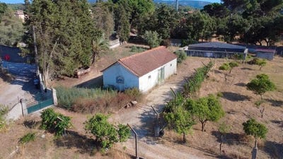 /international/pt/azeitao-sao-lourenco-e-sao-simao-setubal-municipality-310108593151/