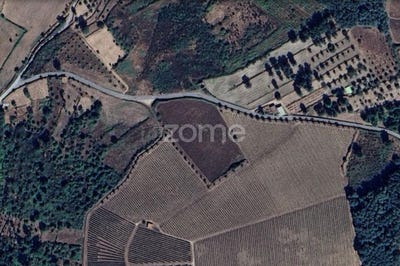 /international/pt/gouveia-guarda-310101668243/