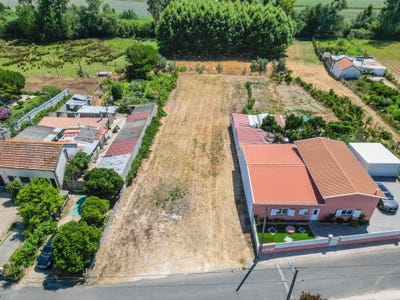 /international/pt/rua-das-damas-31-3090-837-azenha-a-nova-portugal-ferreira-a-nova-coimbra-310101601347/