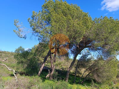 /international/pt/faro-faro-310098123483/