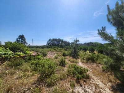 /international/pt/pataias-leiria-120085845120/