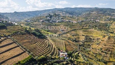 /international/pt/cambres-viseu-310103644225/