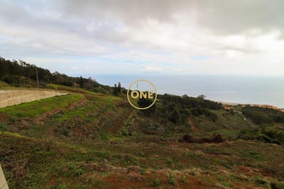 /international/pt/santa-cruz-madeira-310108156328/